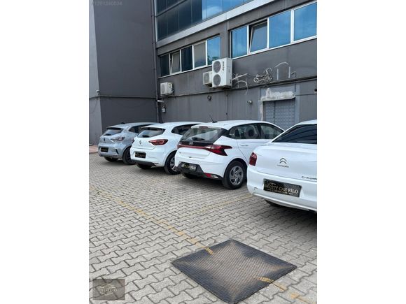 CİTYFİLO OTOMATİK CLİO5