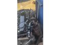 Ford transit 200 Ps komple dolu motor