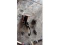 Ford transit v184 pedal takımı