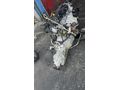 Renault Master 3 motor