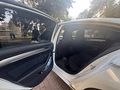 BOL EXTRALI PASSAT