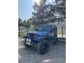 Sahibinden Jeep CJ CJ-5 