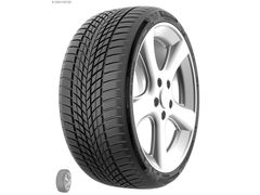 255/35 R19 TL 96V REINF. CARMILE WINTER MILESTONE