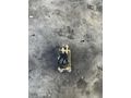 VOLVO S40 VİTES MEKANİZMASI