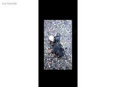 Arka Cam Silecek Motoru Kango 3 8200431385