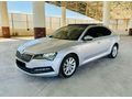 Skoda SuperB 1.6 TDI Elite Cam Tavan 2019 Model