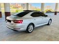 Skoda SuperB 1.6 TDI Elite Cam Tavan 2019 Model