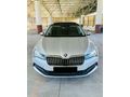 Skoda SuperB 1.6 TDI Elite Cam Tavan 2019 Model