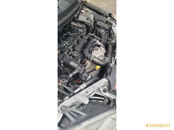 Model Samsun kupon araç focus sport