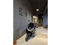 AYR | HONDA PCX 125 DLX SIFIR 300 KM 