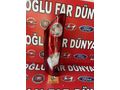 Renault kango sol arka stop temiz