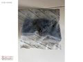 Hyundai Matrix Sol Arka Paçalık 86861-17100