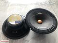 Cadence 20cm Midrange
