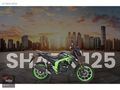 KARADAŞ MOTOR'dan ARORA SHARK 125 K.K 12 TAKSİT