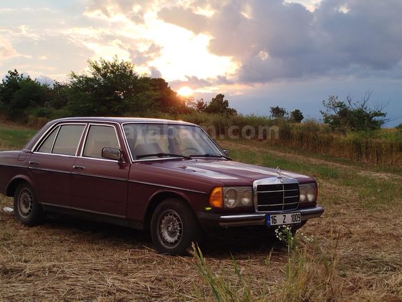 1977 Mercedes W123 240D/Gözler üzerinizde olacak/Takas yok/Tek fiyat.