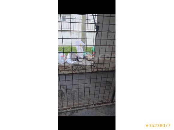 Karavan Çekme römork