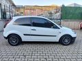 BURAK ŞAZ AUTO / HATASIZ FİESTA VAN 1.4