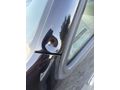 Galeriden Volkswagen Caddy 1.6 TDI Comfortline 2013 Model Aydın