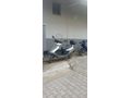 Sahibinden Kuba VN50 Pro