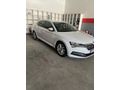 Sahibinden Skoda SuperB 1.6 TDI Premium 2020 Model Şanlıurfa 154000 km Beyaz
