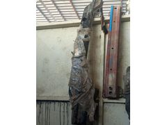 Mercedes Vito ön tampon demiri