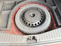 SAVAN'dan TİTANİUM/OTOMATİK/C-MAX