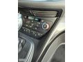 SAVAN'dan TİTANİUM/OTOMATİK/C-MAX