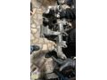 FORD CONNECT TURBO 2007 ORJİNAL SÖKME