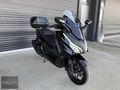 ÇOLAK OTOMOTİV'den HondaForza 250 (NSS250)