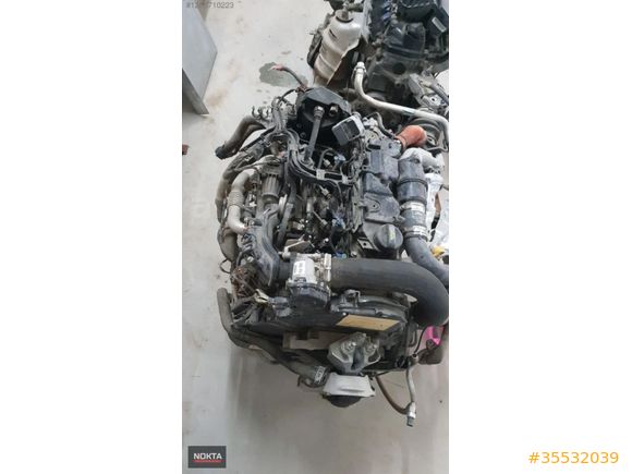 dacia logan sag on kapi