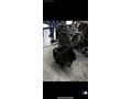 Renault trafic 3 2.0 dci motor 100012925r