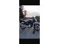 Sahibinden Zorro ZR 125-48 Yebere 