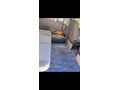 Hem OTOMOBİL Hem KARAVAN