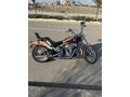 Sahibinden Harley Davidson Softail Custom FXSTC 