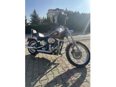 Sahibinden Harley Davidson Softail Custom FXSTC 