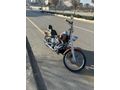Sahibinden Harley Davidson Softail Custom FXSTC 