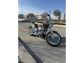 Sahibinden Harley Davidson Softail Custom FXSTC 