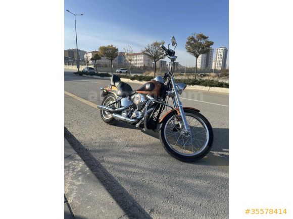 Sahibinden Harley Davidson Softail Custom FXSTC 