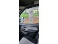 OTOMOBİL RUHSATLI