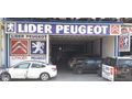 PEJO PARTNER TEPEE ÇIKMA KLİMA PANELİ