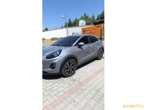Ciddi Alıcı Arasın Puma Ekstralı