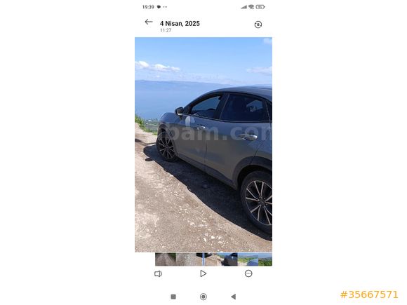 Ciddi Alıcı Arasın Puma Ekstralı