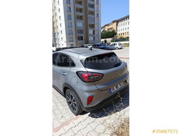 Ciddi Alıcı Arasın Puma Ekstralı