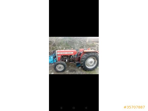 son indirim hesablı Sahibinden Massey Ferguson 240