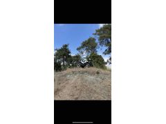 Sahibinden ATV & UTV Revolt RA5 Mersin