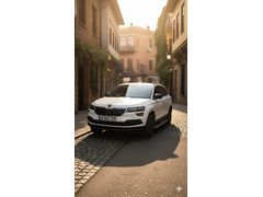 Sahibinden Skoda Karoq 1.6 TDI Ambition 2018 Model