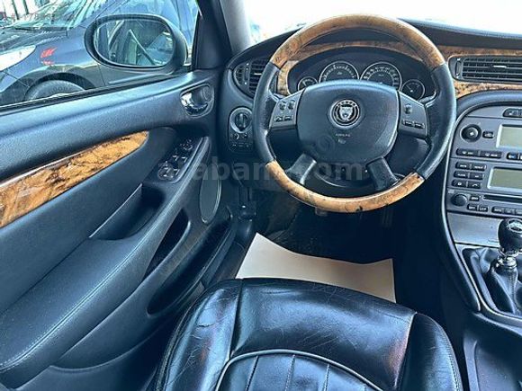 BEYAZ JAGUAR