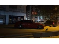 Sahibinden BMW 3 Serisi 320i ED 40th Year Edition 2016 Model  156.000 km Kırmızı