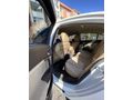 Sahibinden Opel Insignia 1.4 T Edition Elegance 2012 Model 