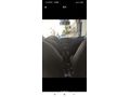 Sahibinden Fiat Doblo Combi 1.3 Multijet Dynamic 2013 Model